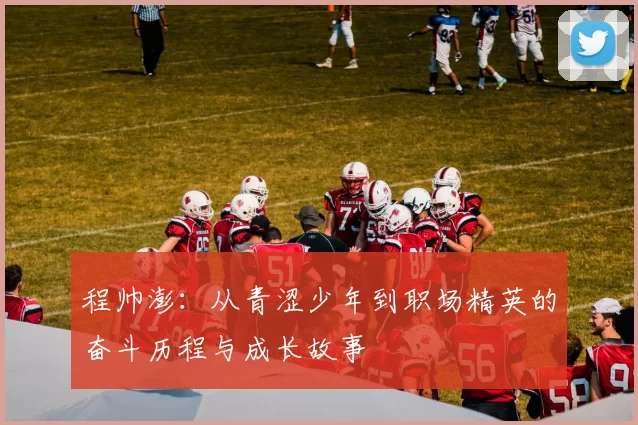 程帅澎：从青涩少年到职场精英的奋斗历程与成长故事