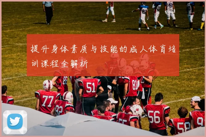 提升身体素质与技能的成人体育培训课程全解析